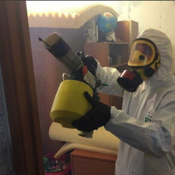 Уничтожение клопов в квартире. Удомля